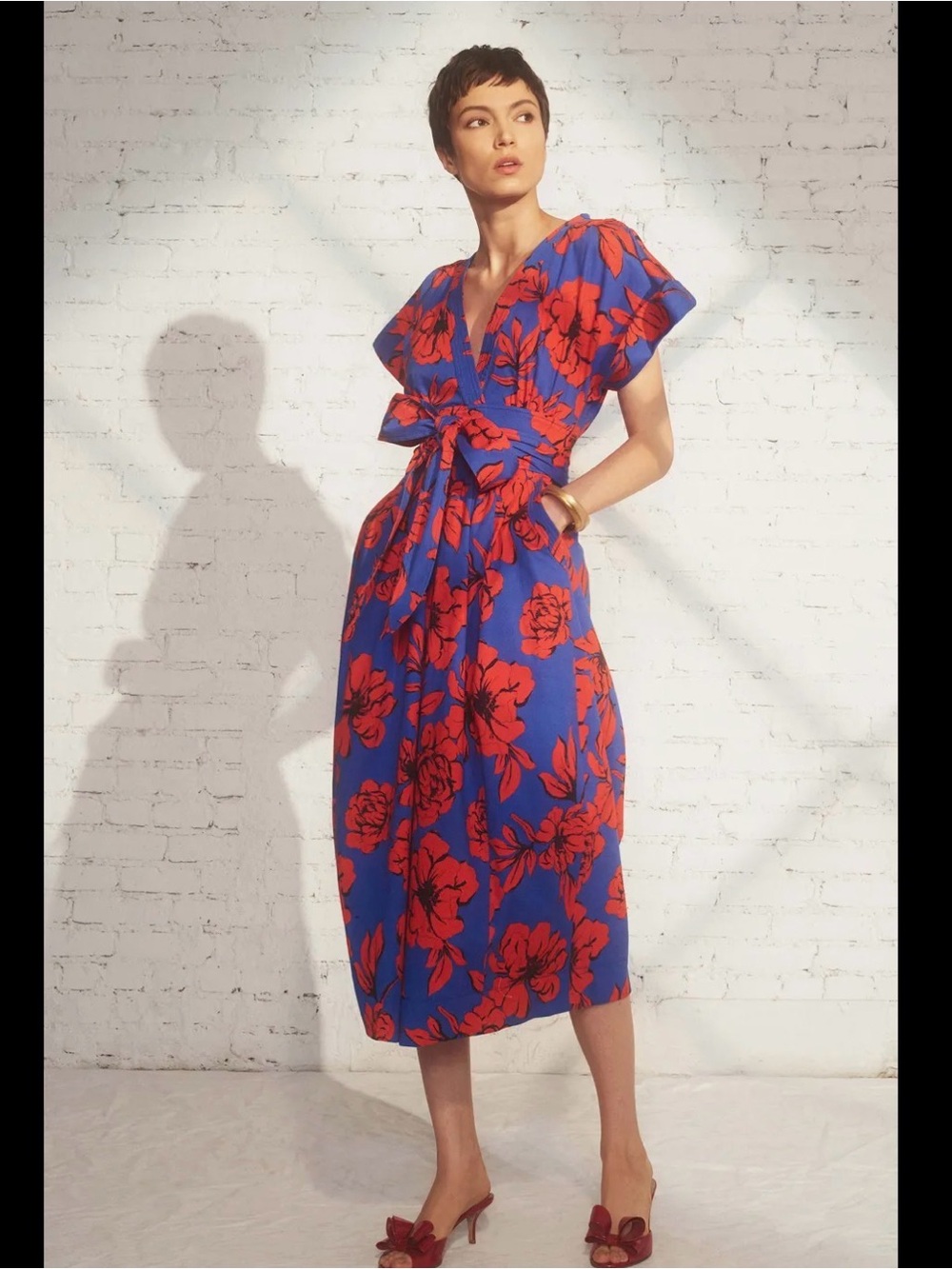 Marissa Webb Blue and Red Floral Dress